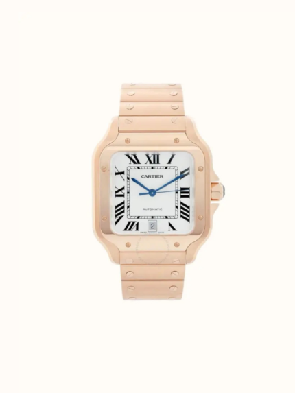 Steel Watch