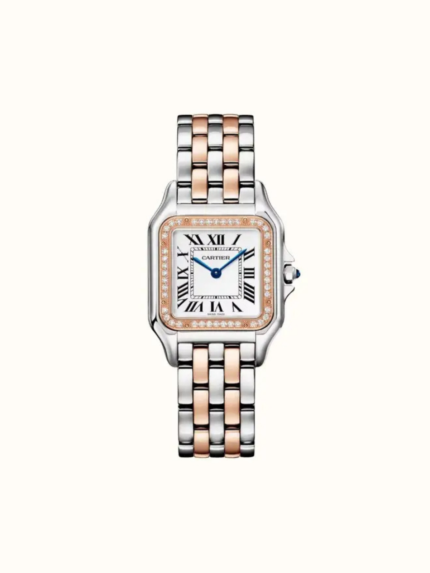 Steel Watch